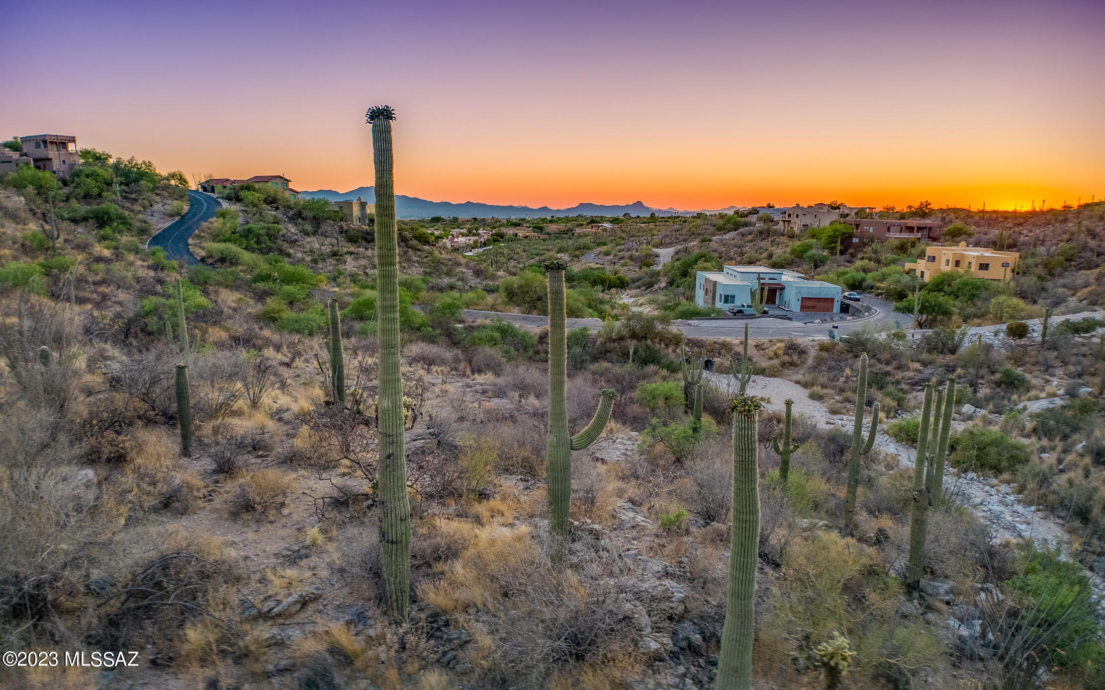 7582 N Camino Sin Vacas 65