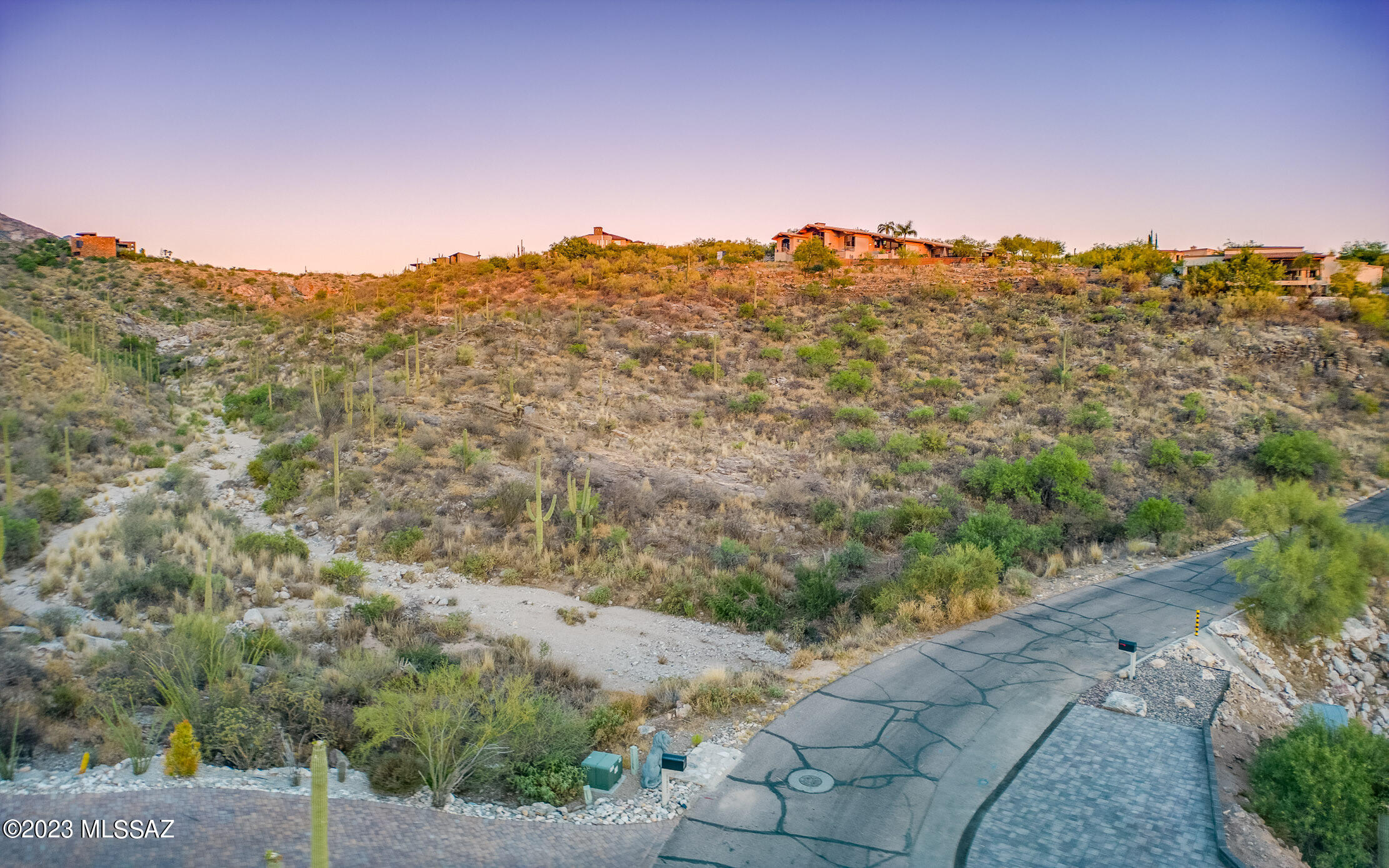 7582 N Camino Sin Vacas 65