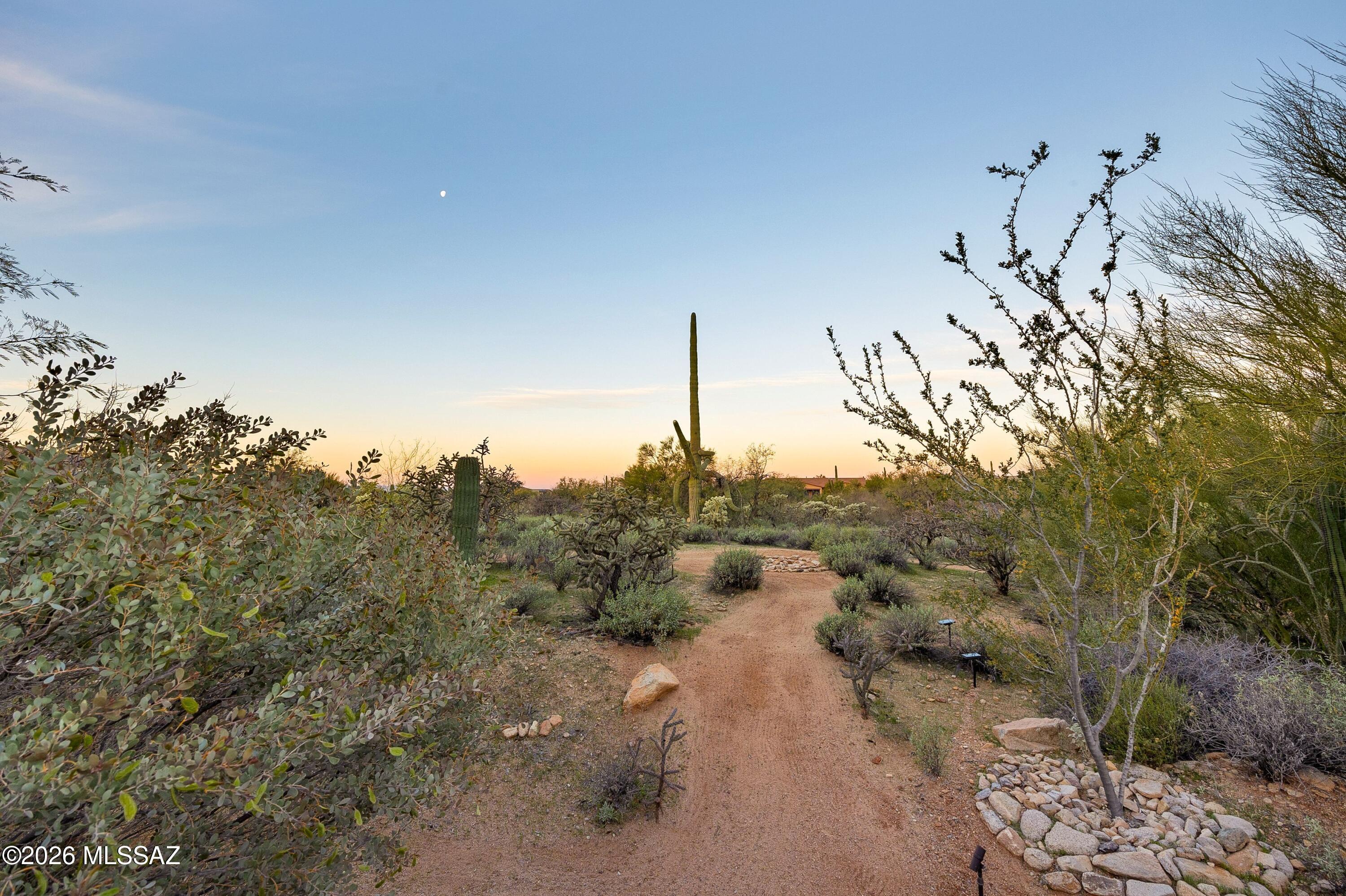 12505 N Faraway Wash Trail