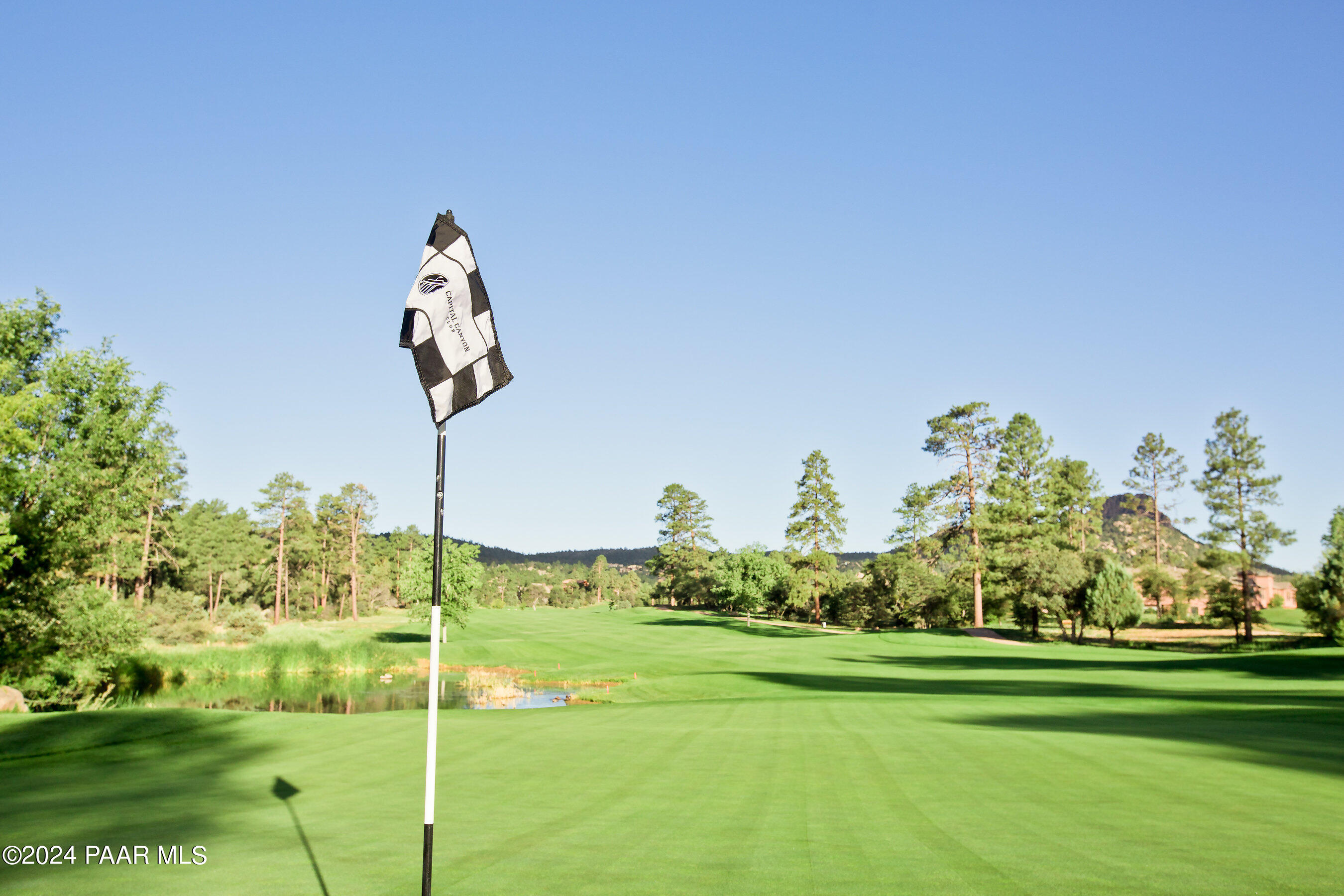 2144 Forest Mountain Road