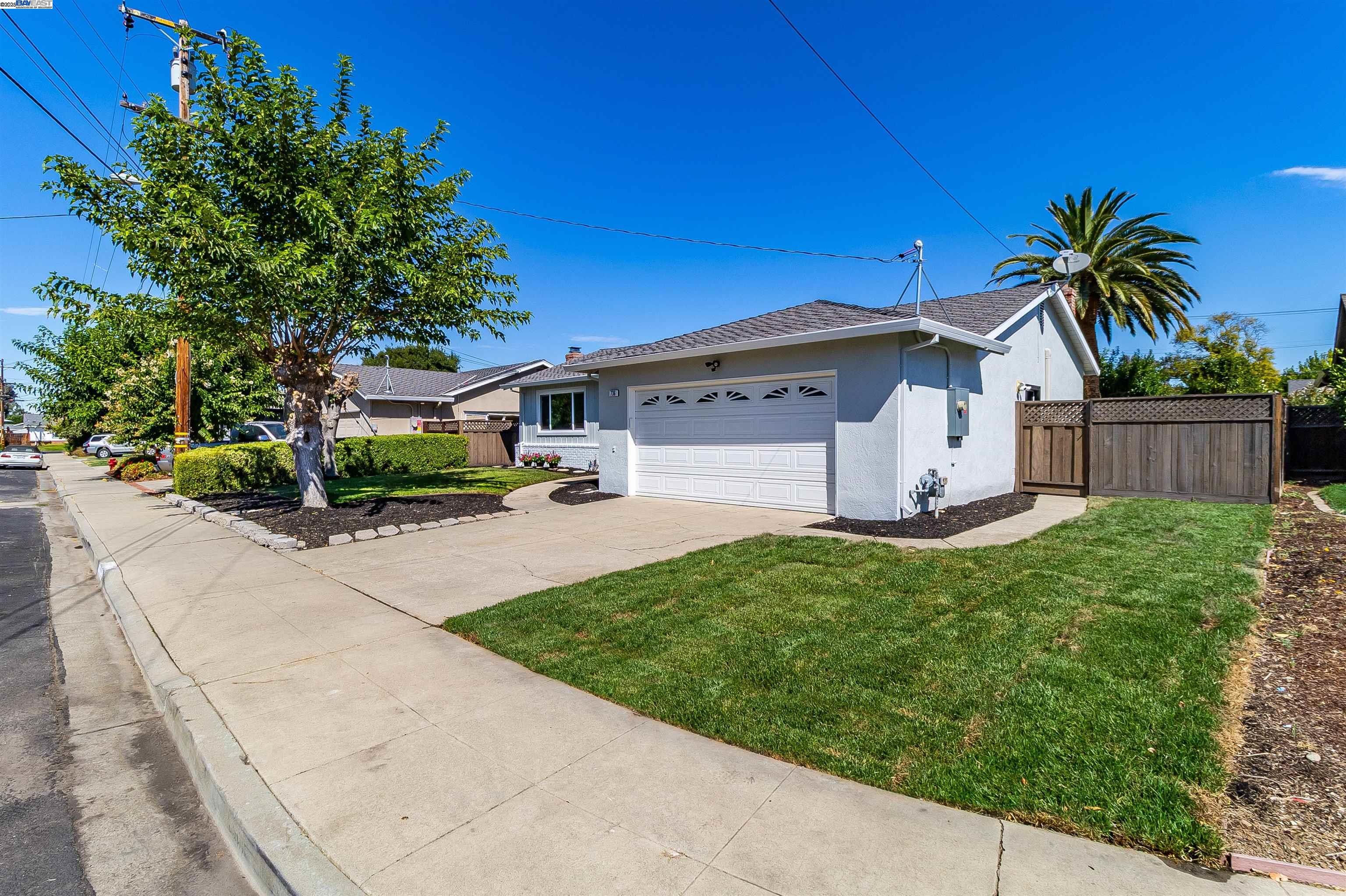 736 Adams Ave