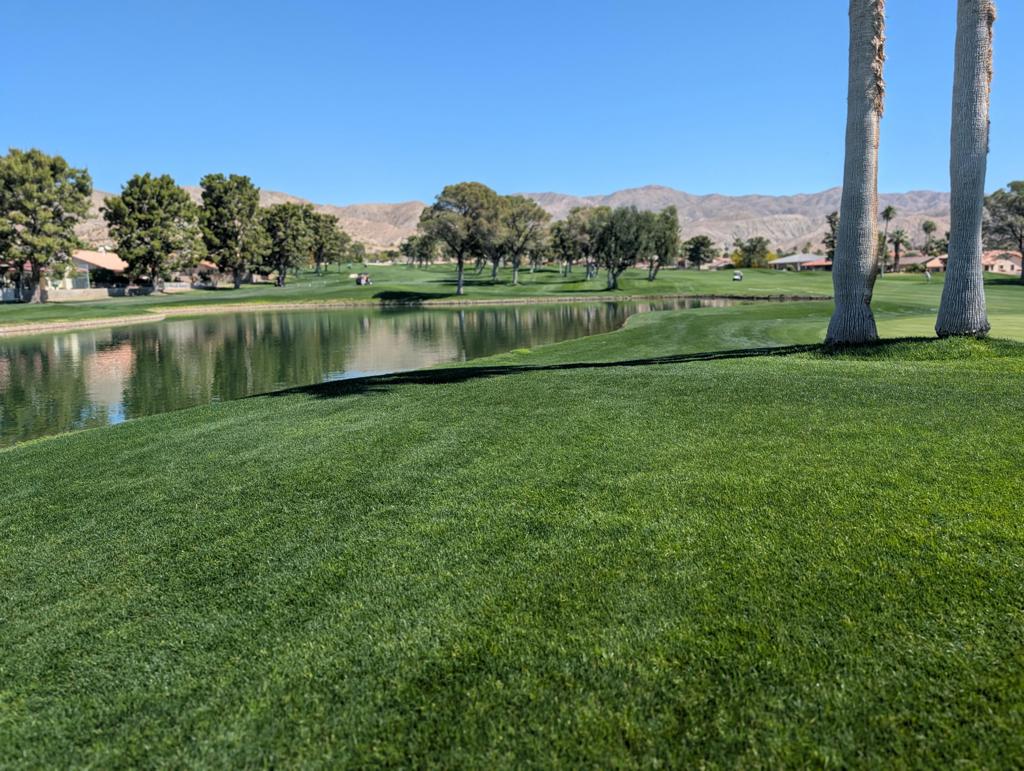 64322 Spyglass Avenue