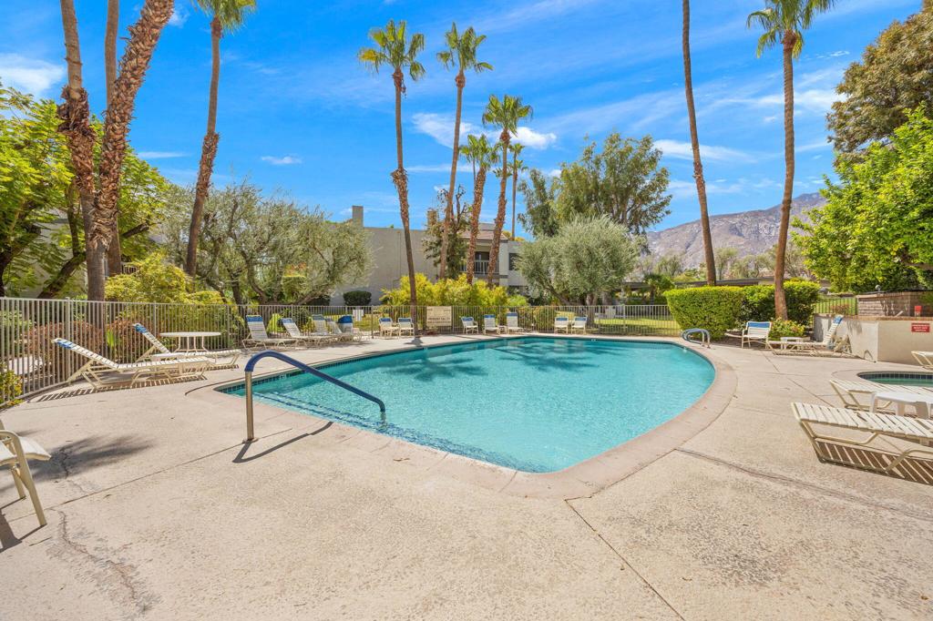 Outdoor pool with lounge chairs, tall palms, and mountains in the background.