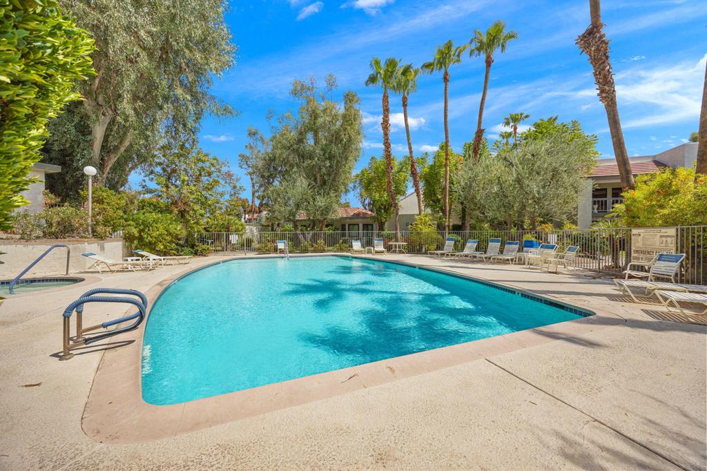Outdoor swimming pool with lounge chairs, leafy landscaping, and tall palm trees.