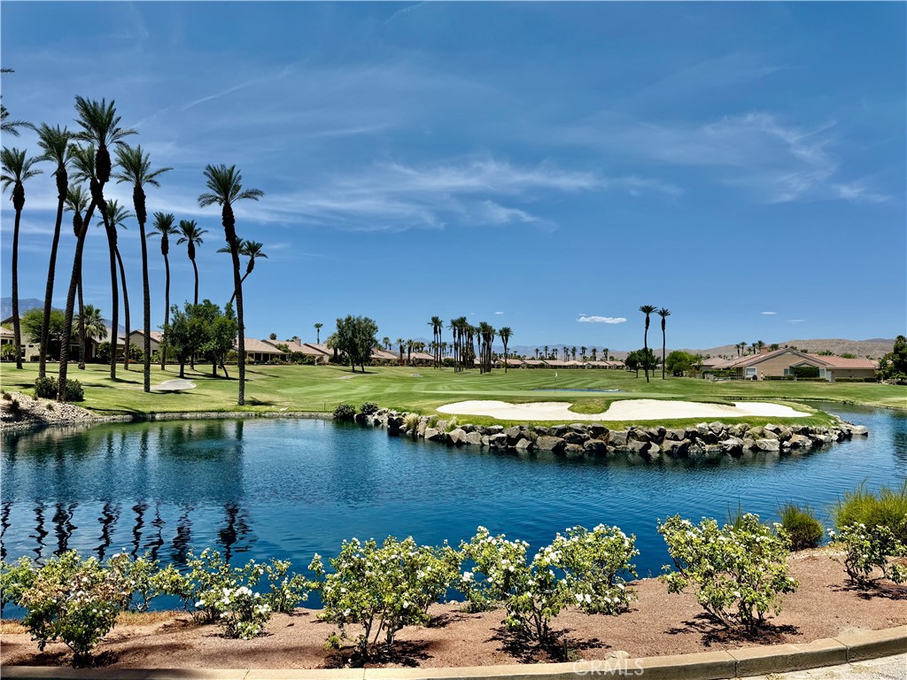 35637 Meridia Avenue