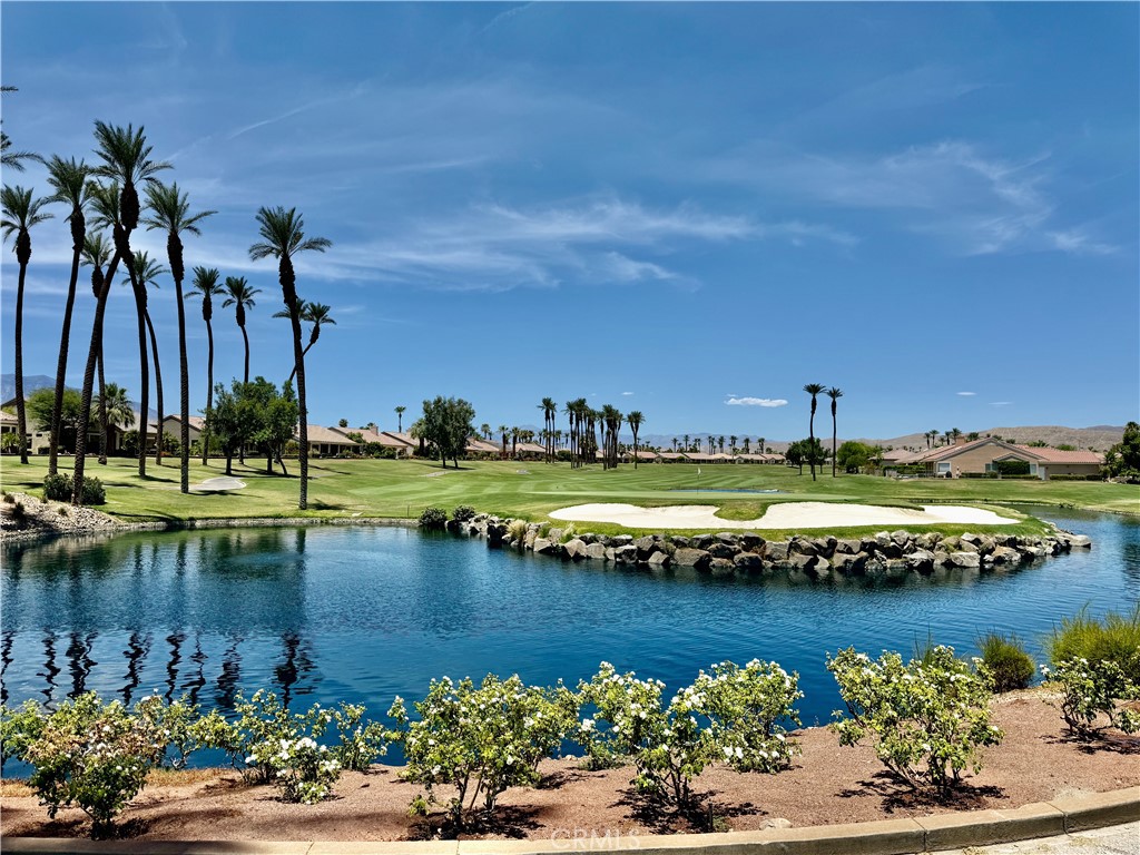 35637 Meridia Avenue