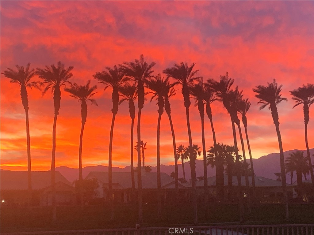 35637 Meridia Avenue