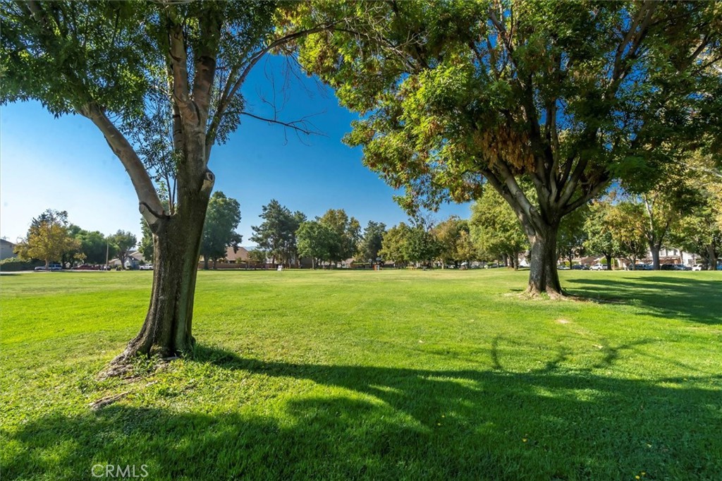 25784 Covala Court