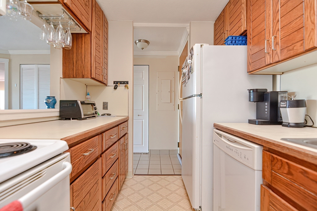 200 Burkhall Street # 503
