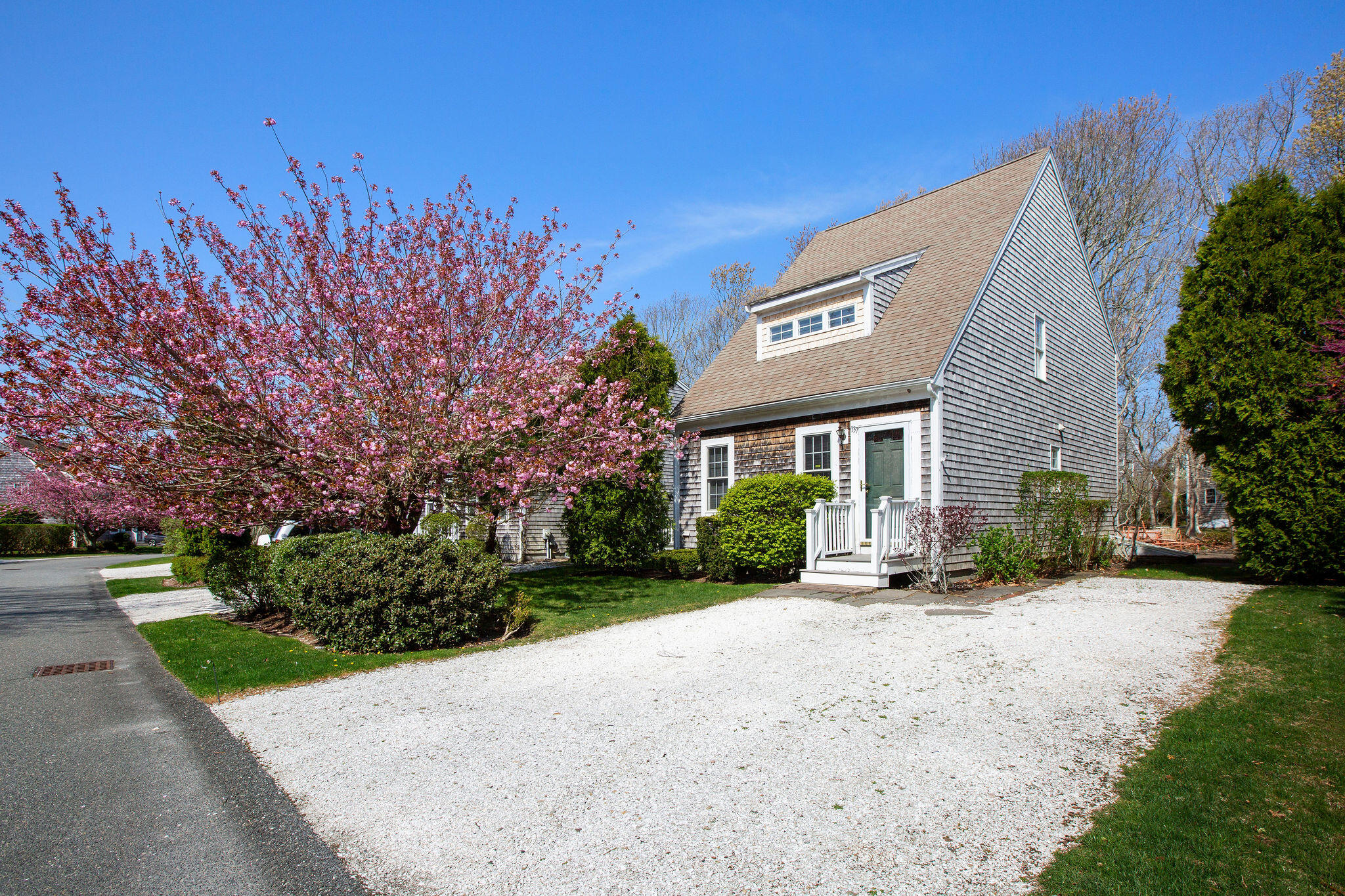 121 Camp Street # 137