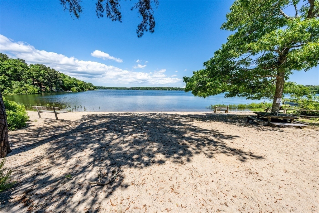 87 Regis Rd