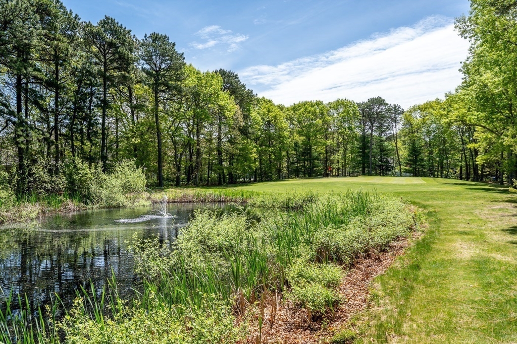 19 Longwood Rd # 243