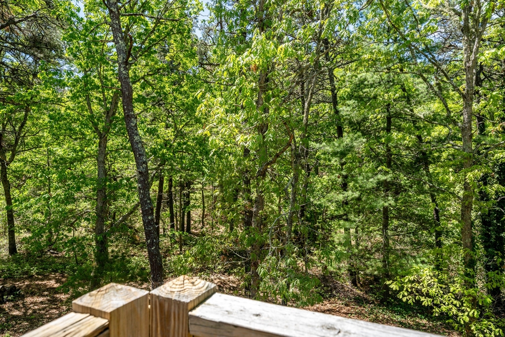 168 White Moss Dr
