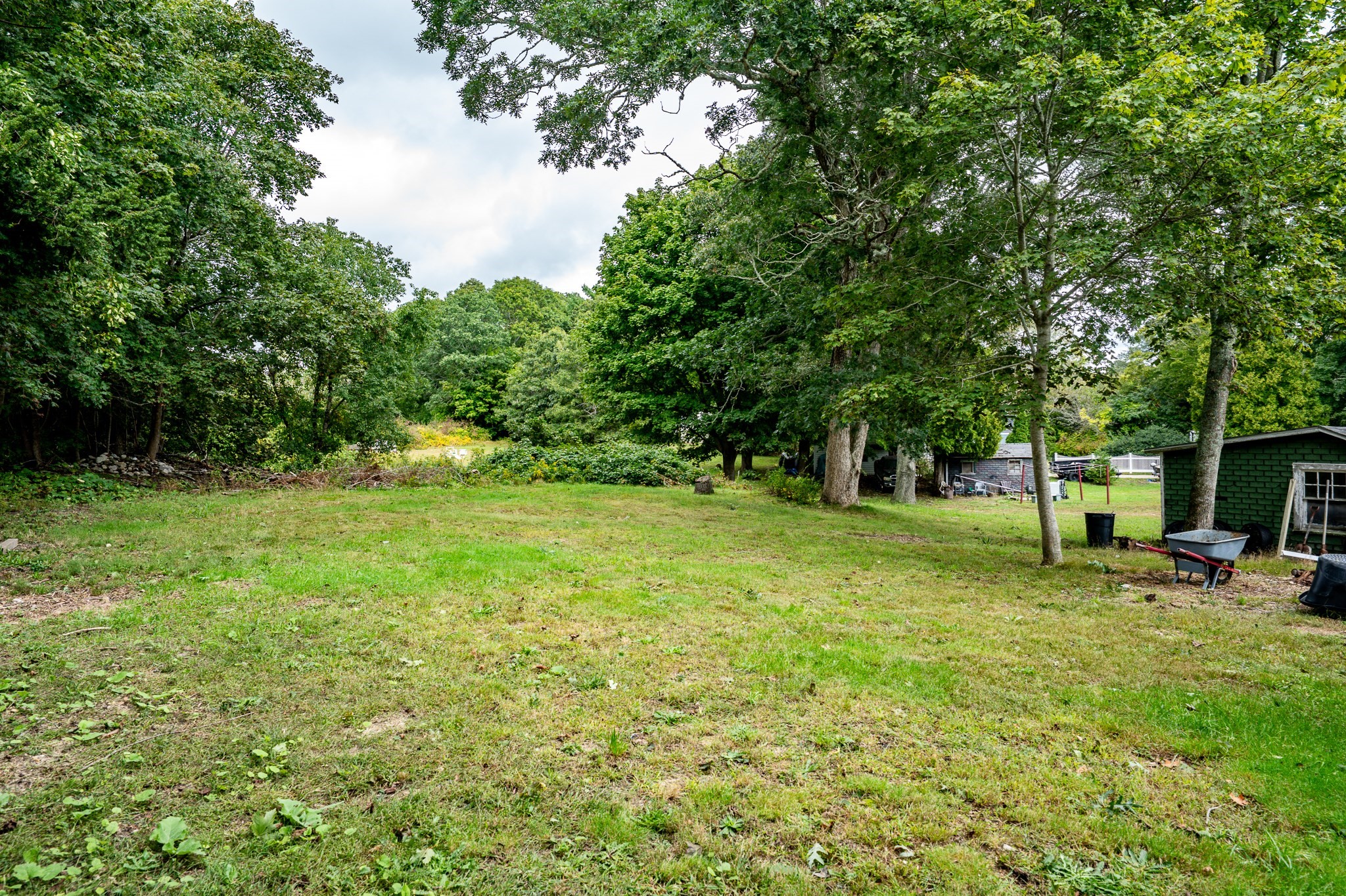 Grassy backyard bordered by mature trees, with small outbuildings at the right.