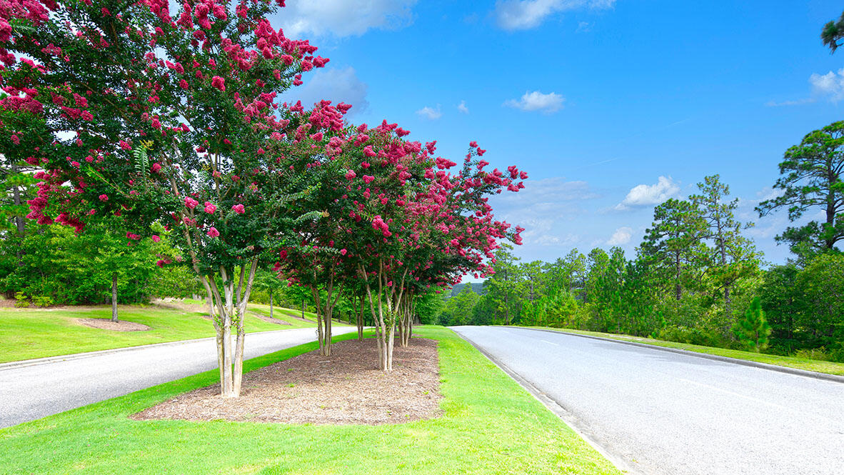 767 Grovebury Court