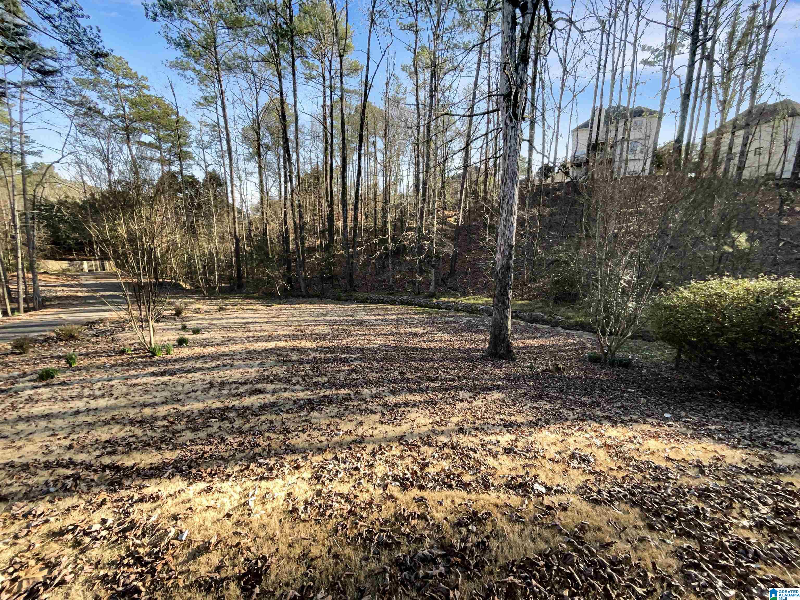805 HILLSHIRE DRIVE