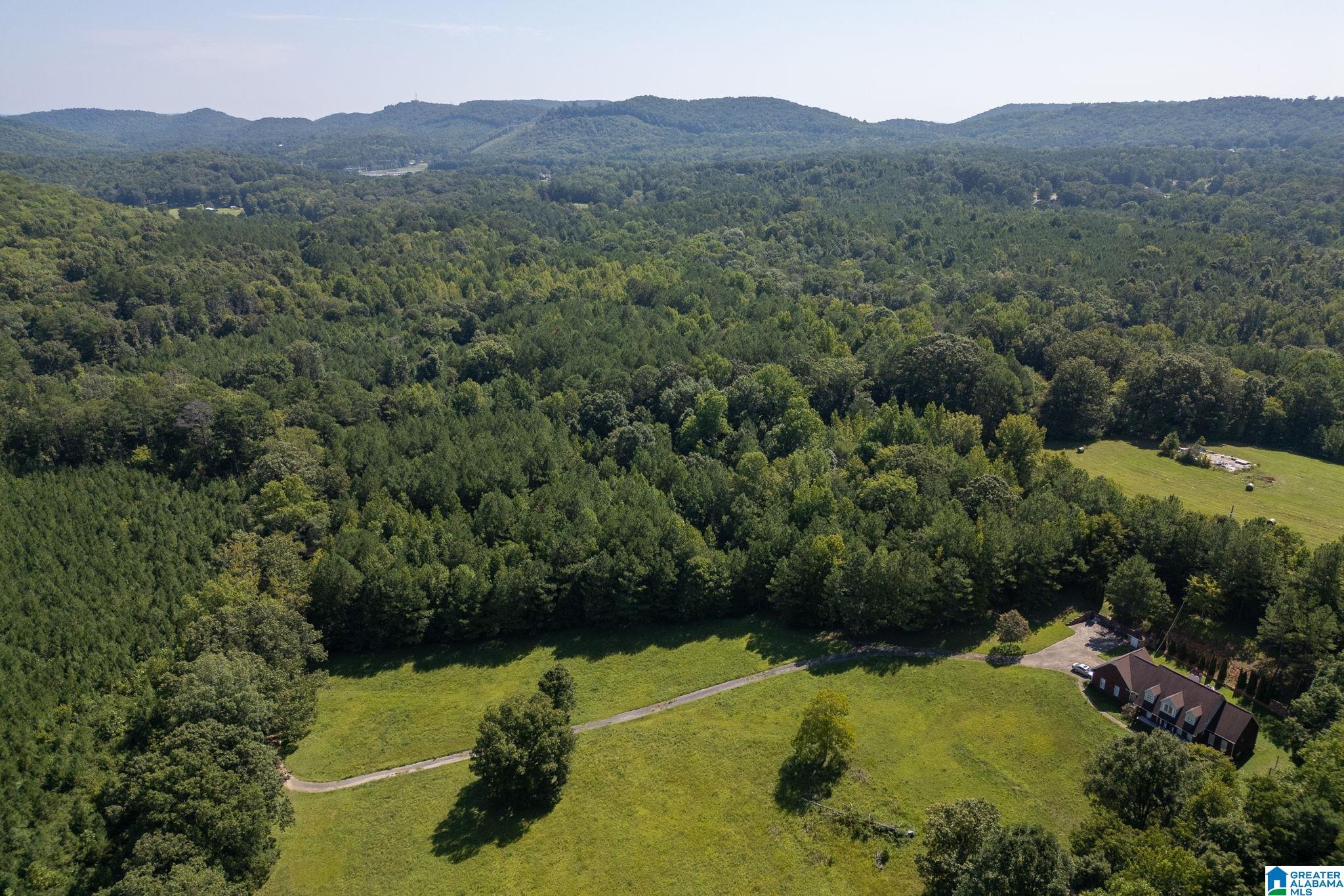 9111 CEDAR MOUNTAIN ROAD 9111