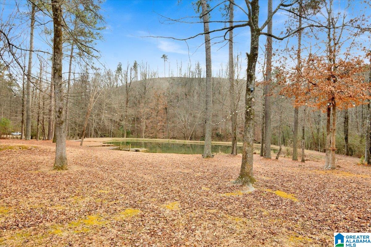 4501 BROOK FOREST LANE