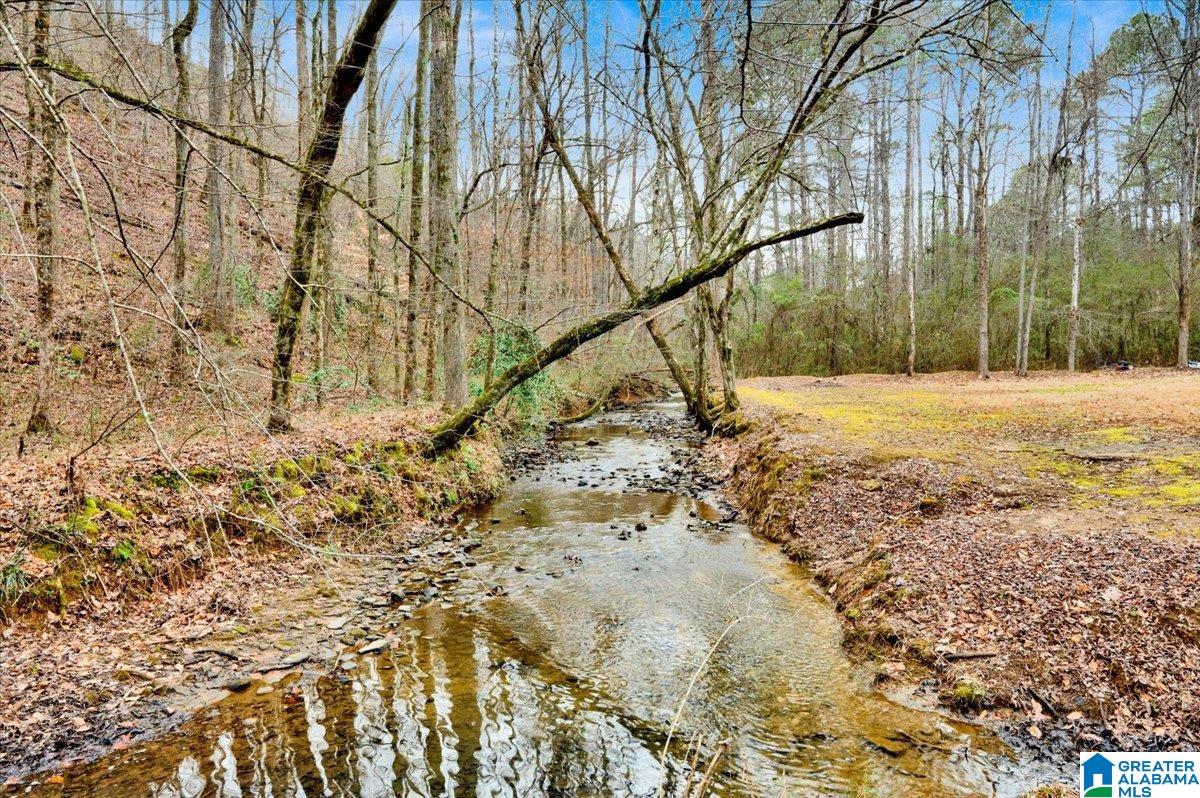 4501 BROOK FOREST LANE