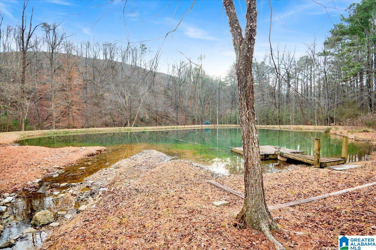 4501 BROOK FOREST LANE