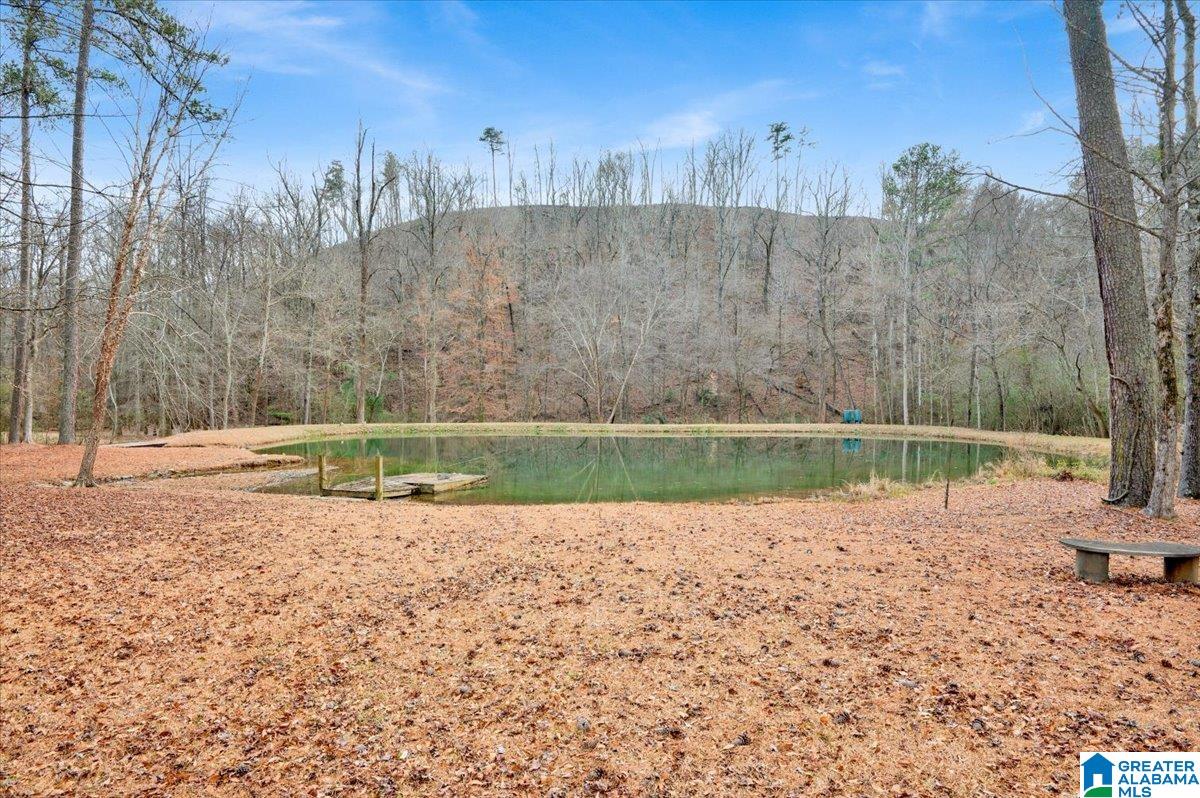 4501 BROOK FOREST LANE