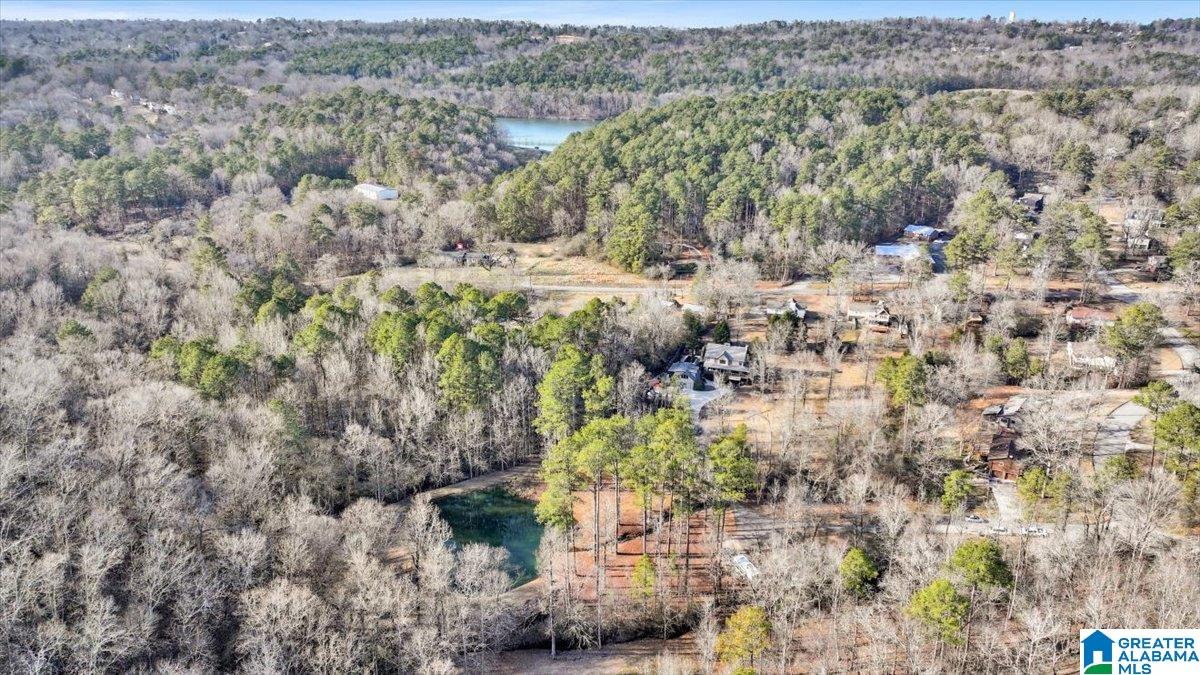 4501 BROOK FOREST LANE