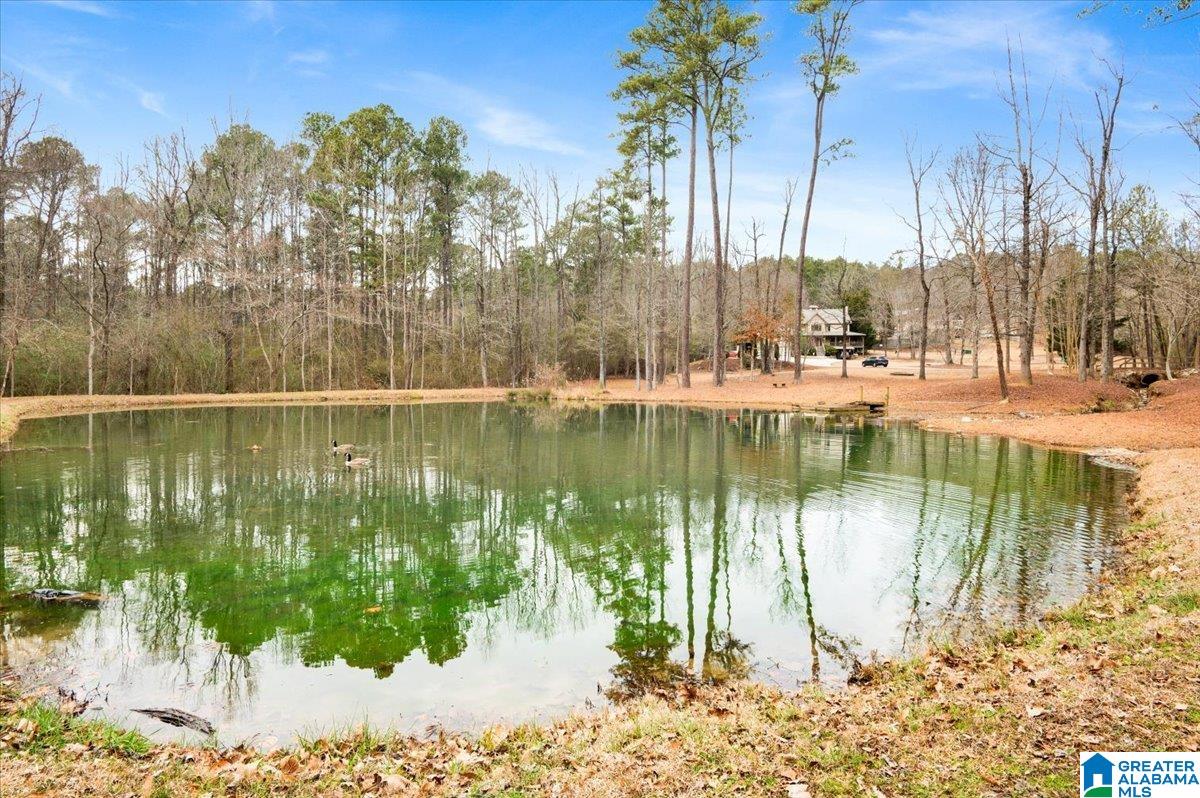 4501 BROOK FOREST LANE