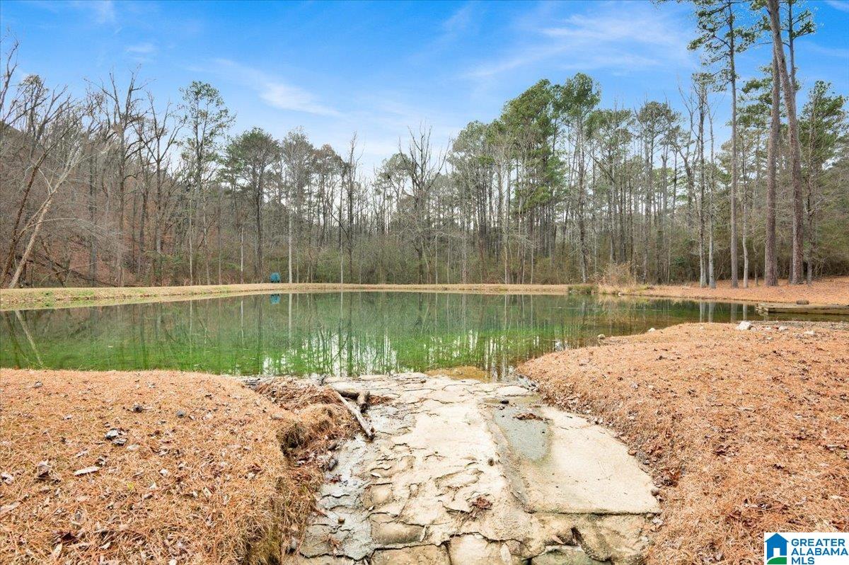 4501 BROOK FOREST LANE