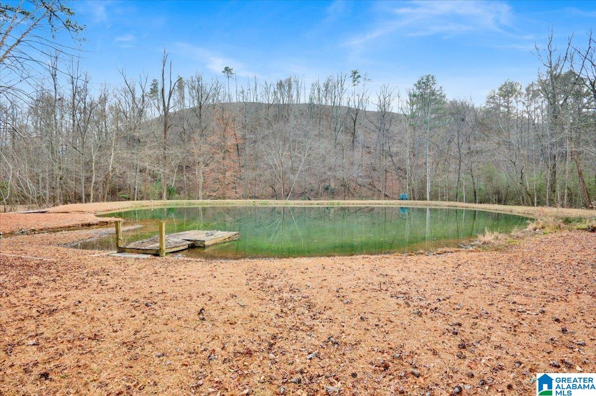 4501 BROOK FOREST LANE