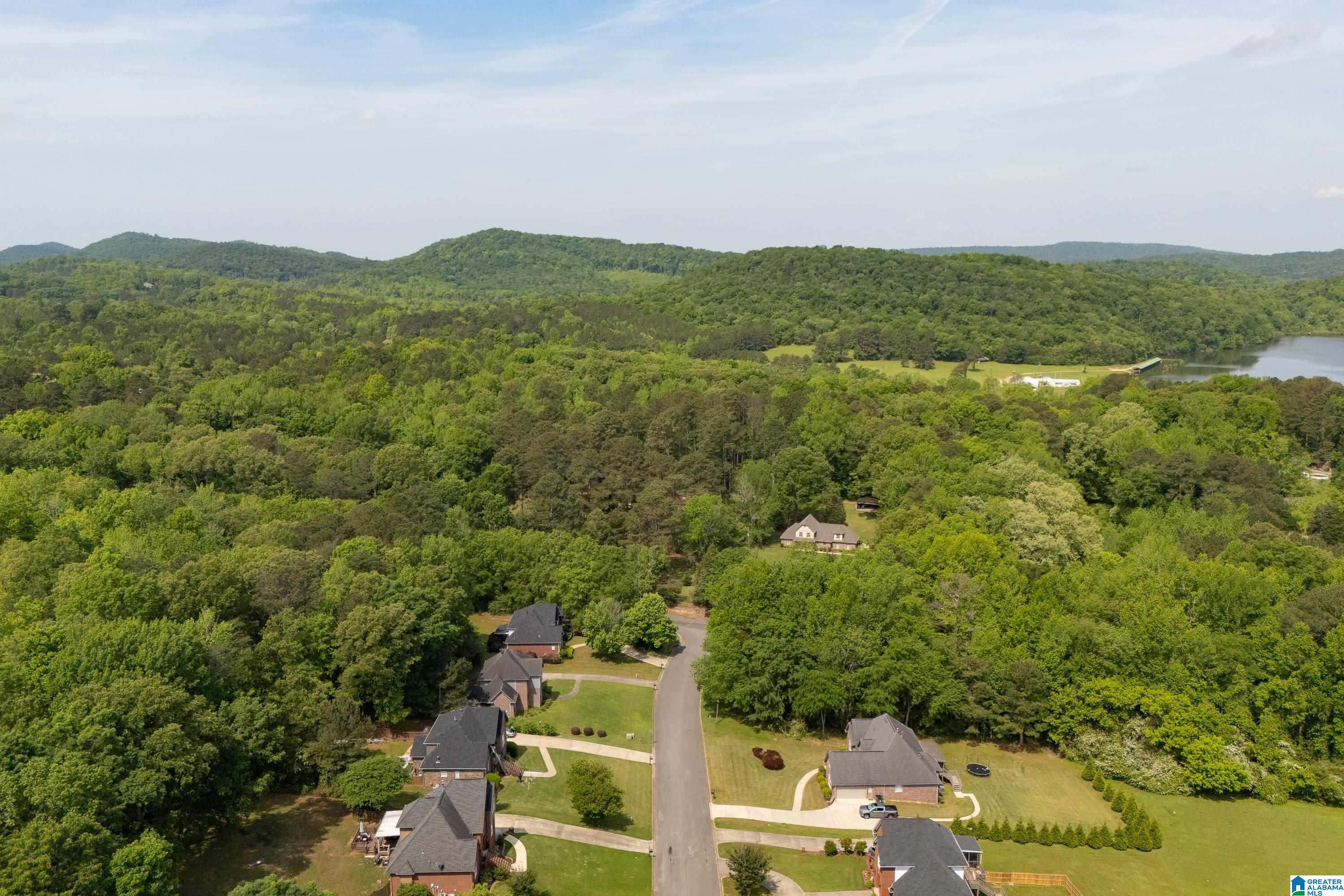 6698 CLAYTON COVE PARKWAY Lot 1A