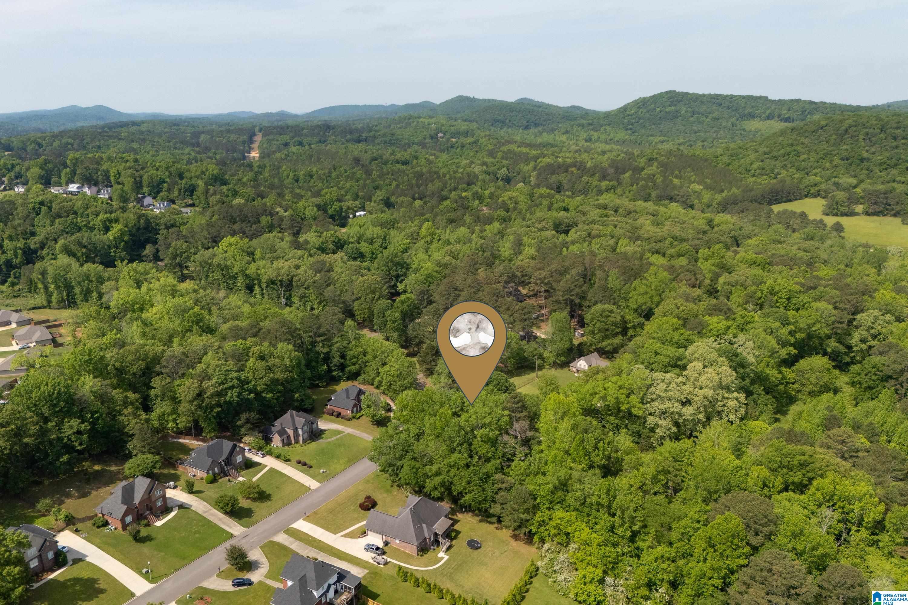 6698 CLAYTON COVE PARKWAY Lot 1A