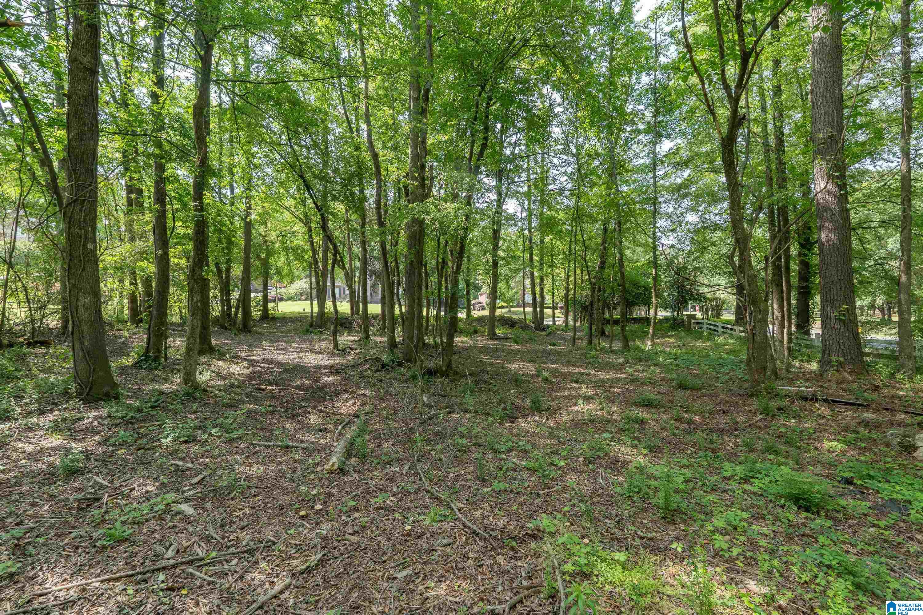 6698 CLAYTON COVE PARKWAY Lot 1A