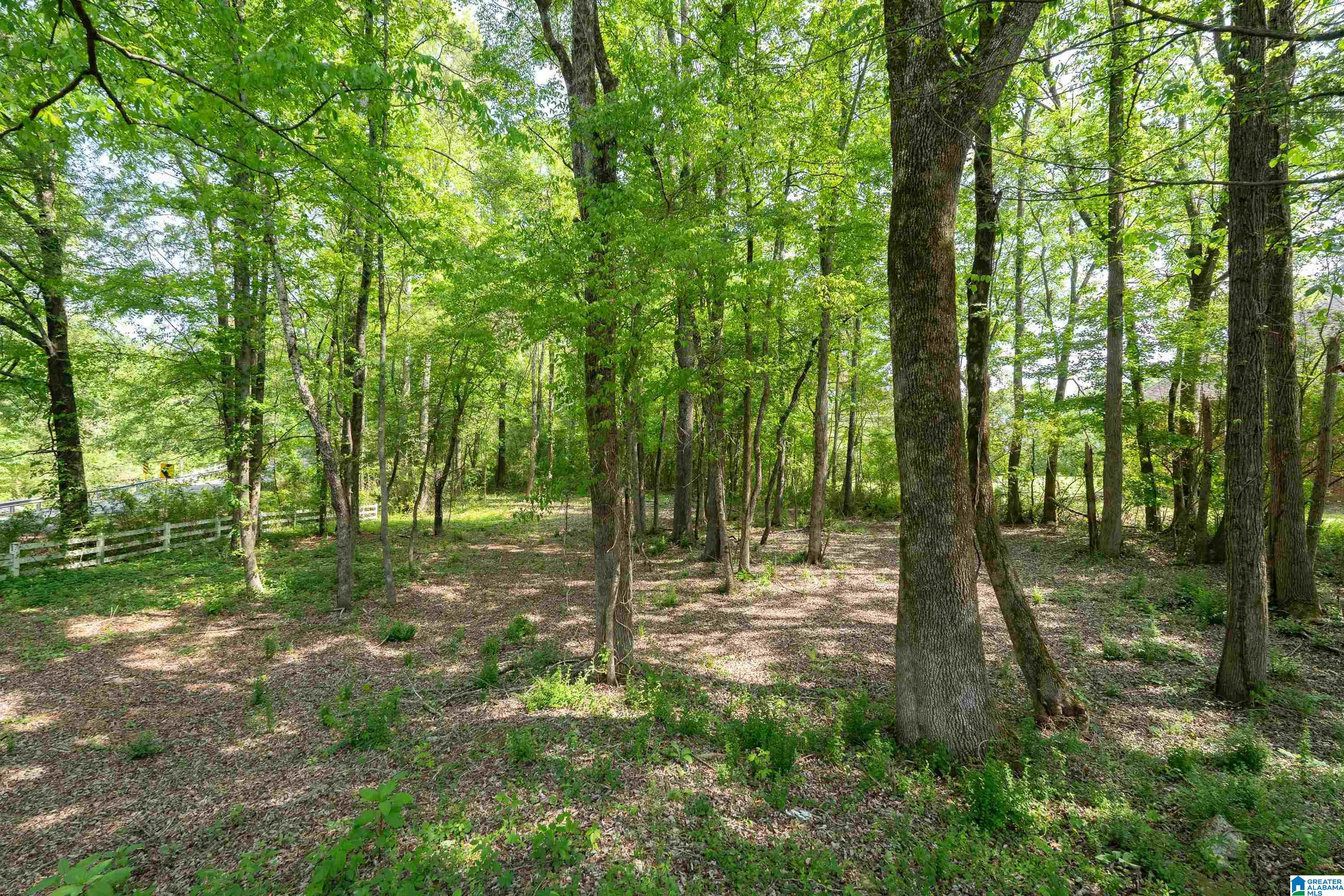 6698 CLAYTON COVE PARKWAY Lot 1A