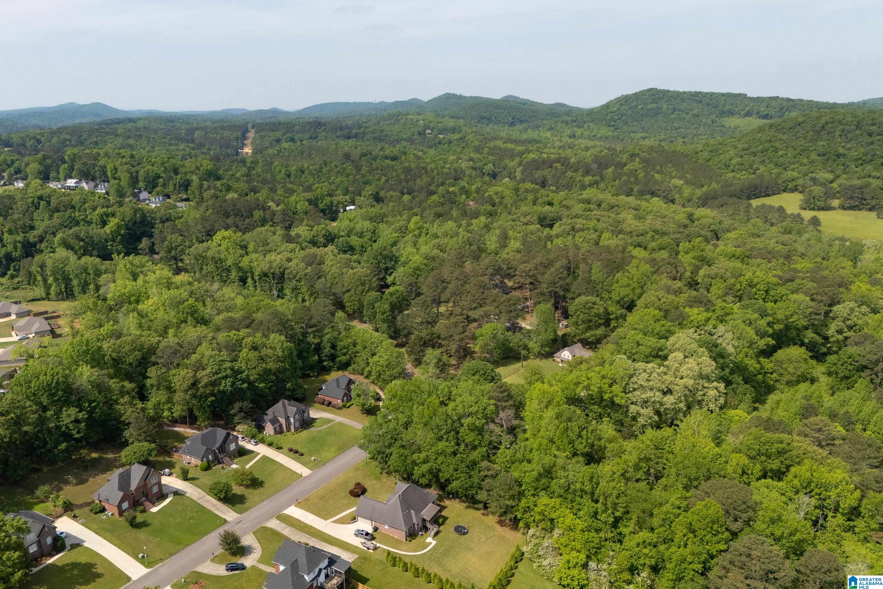 6698 CLAYTON COVE PARKWAY Lot 1A