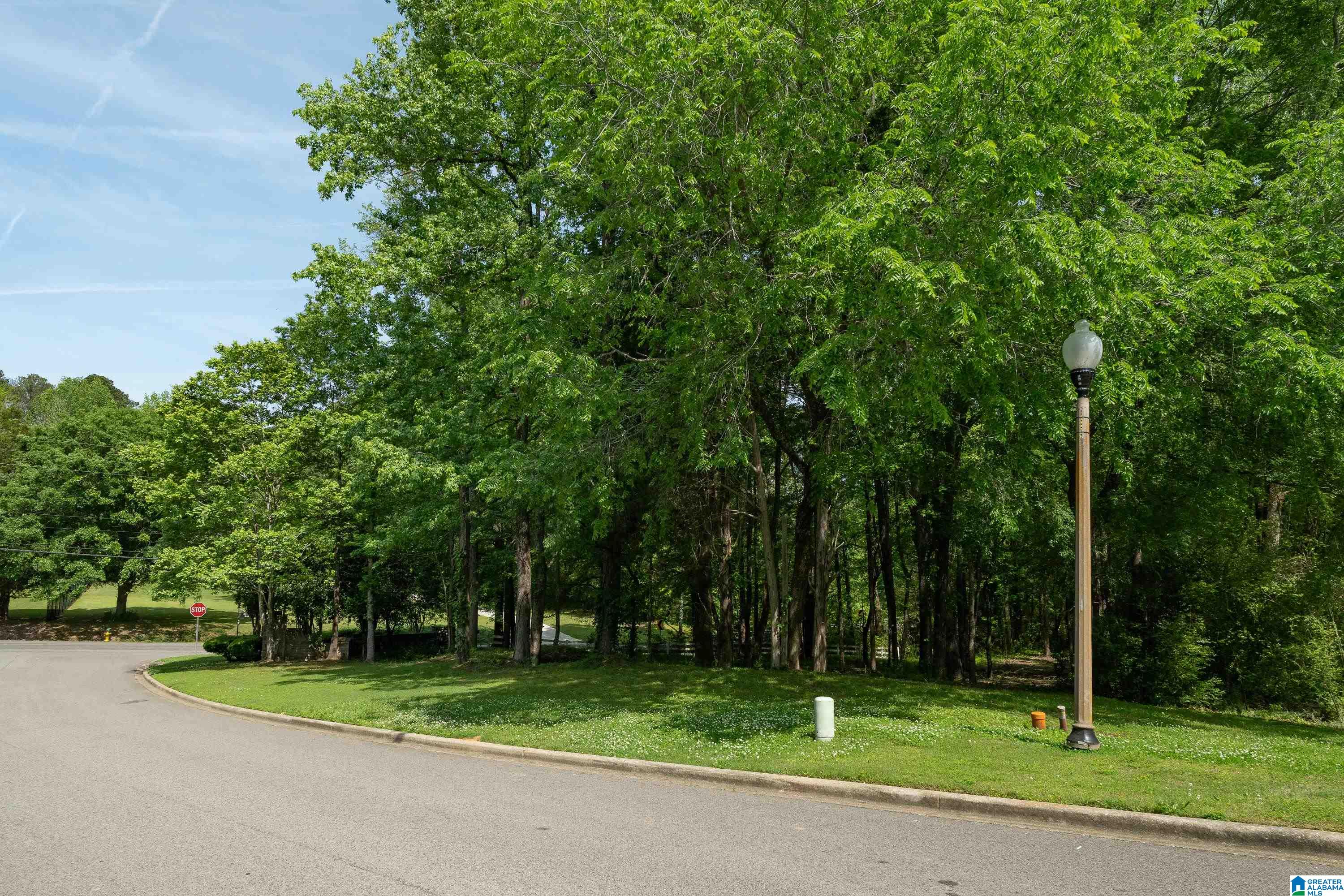 6698 CLAYTON COVE PARKWAY Lot 1A