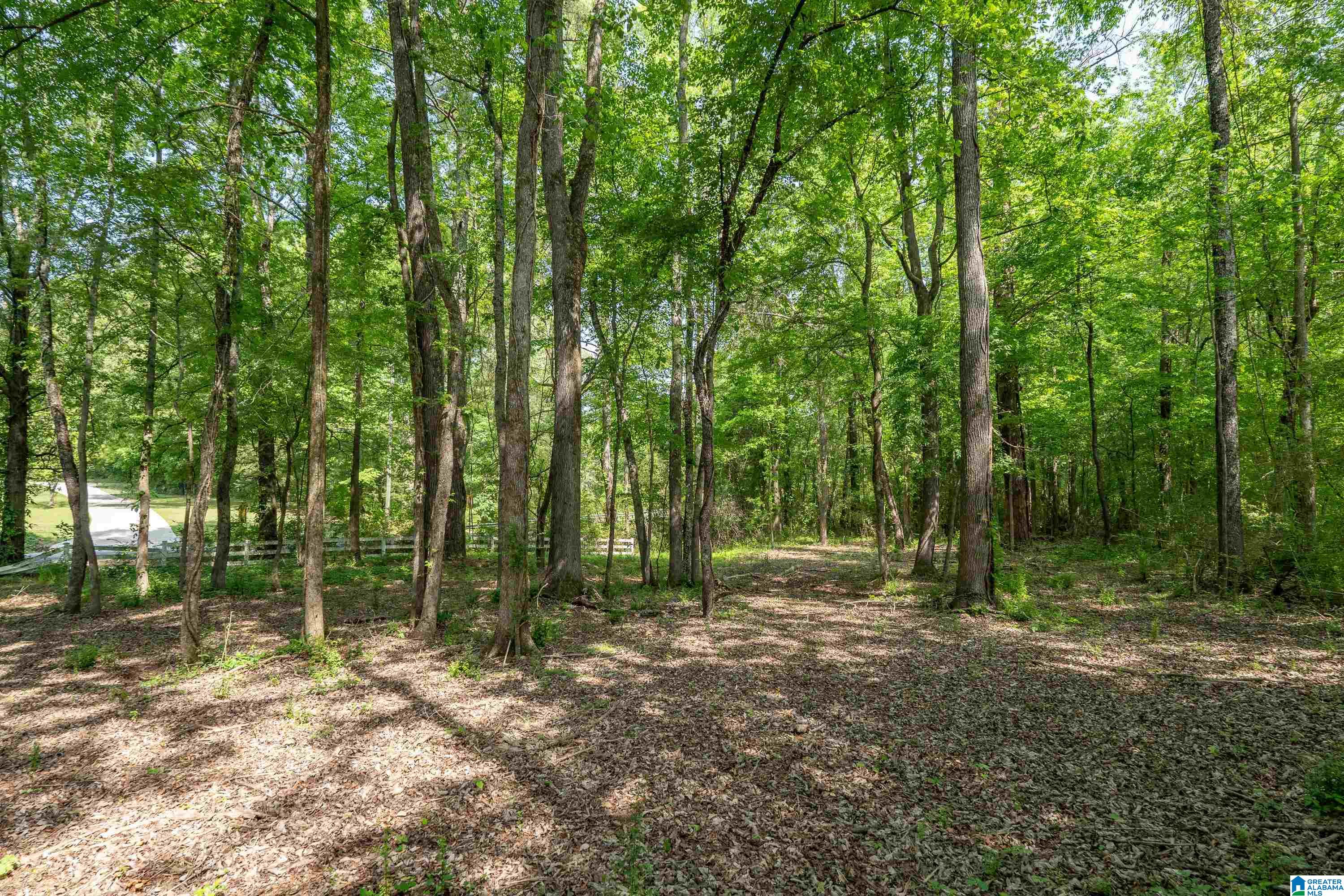6698 CLAYTON COVE PARKWAY Lot 1A