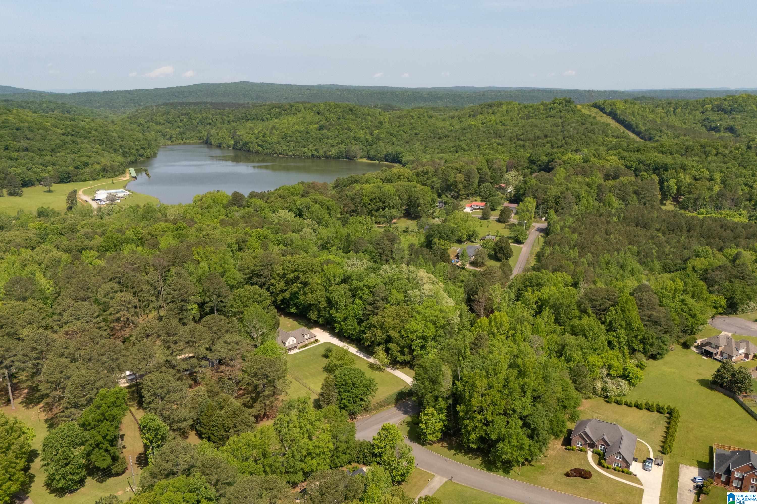 6698 CLAYTON COVE PARKWAY Lot 1A