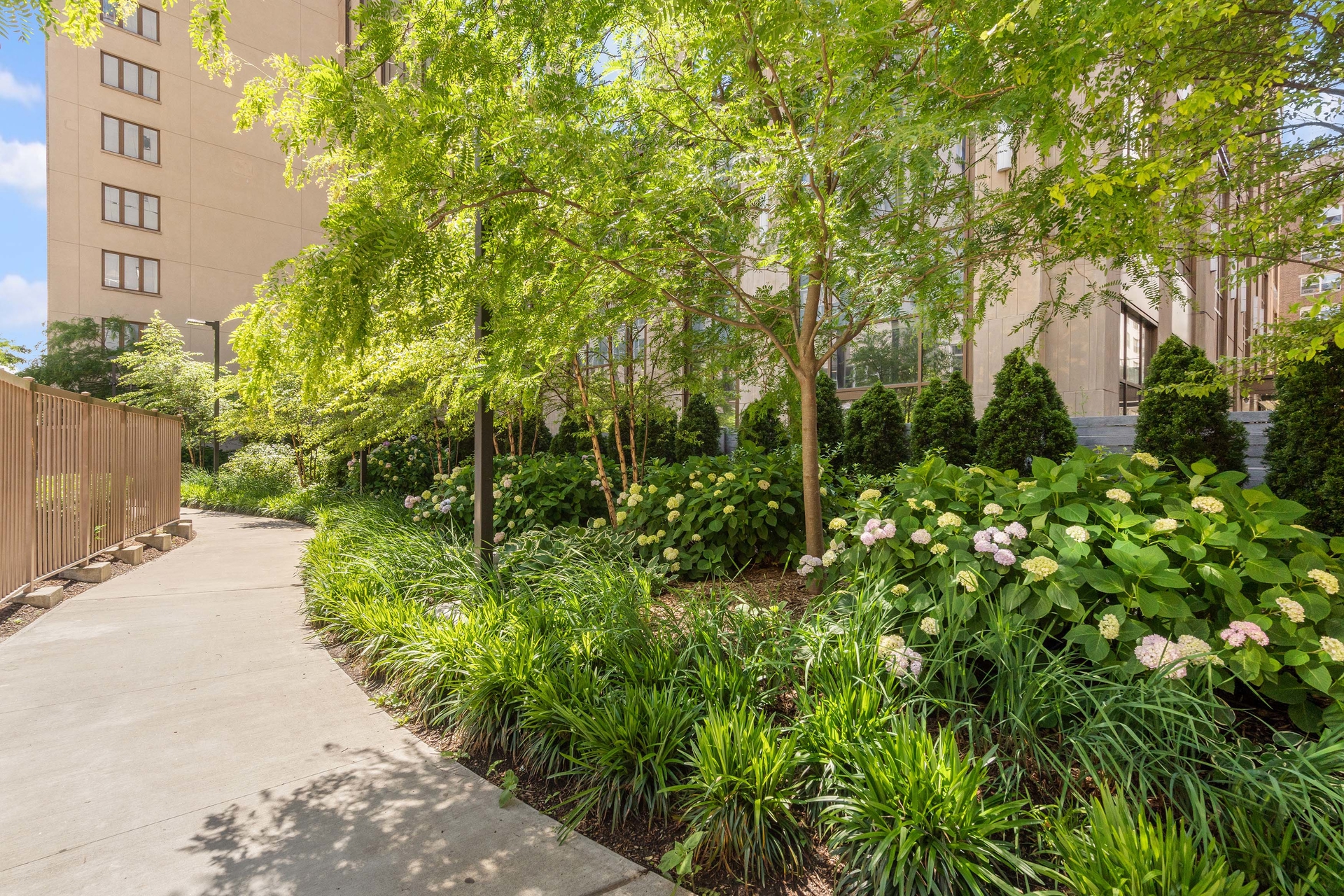 215 E 19TH Street 1D