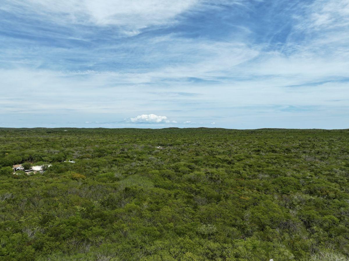 5.5 ACRES DOCTOR'S CREEK