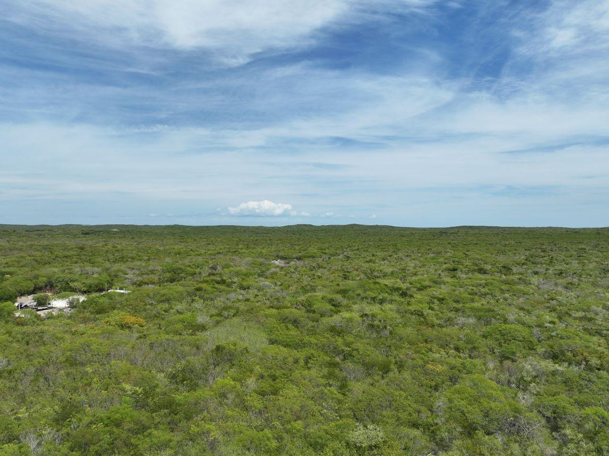5.5 ACRES DOCTOR'S CREEK