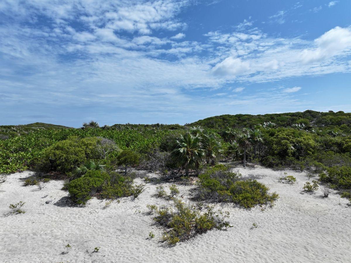 1 ACRE FARMER'S CAY,EXUMA