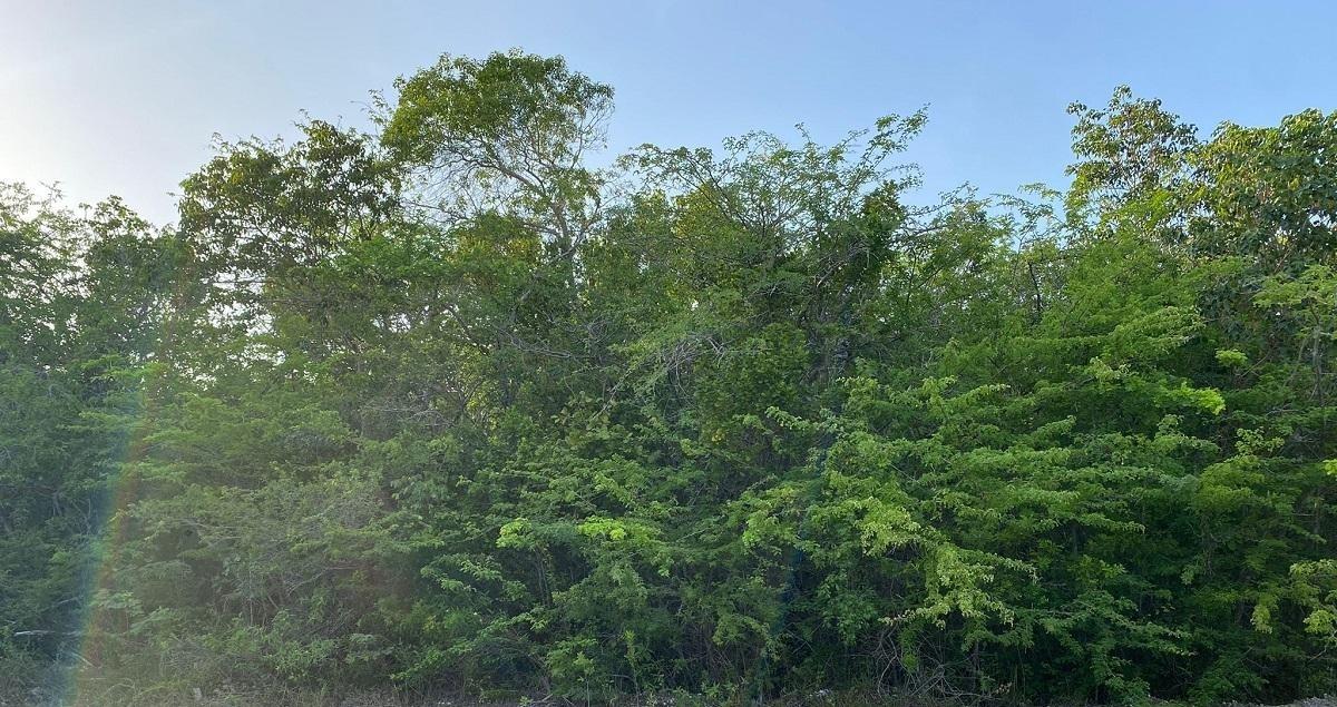 29.5 ACRES SUNRIDGE ESTAT