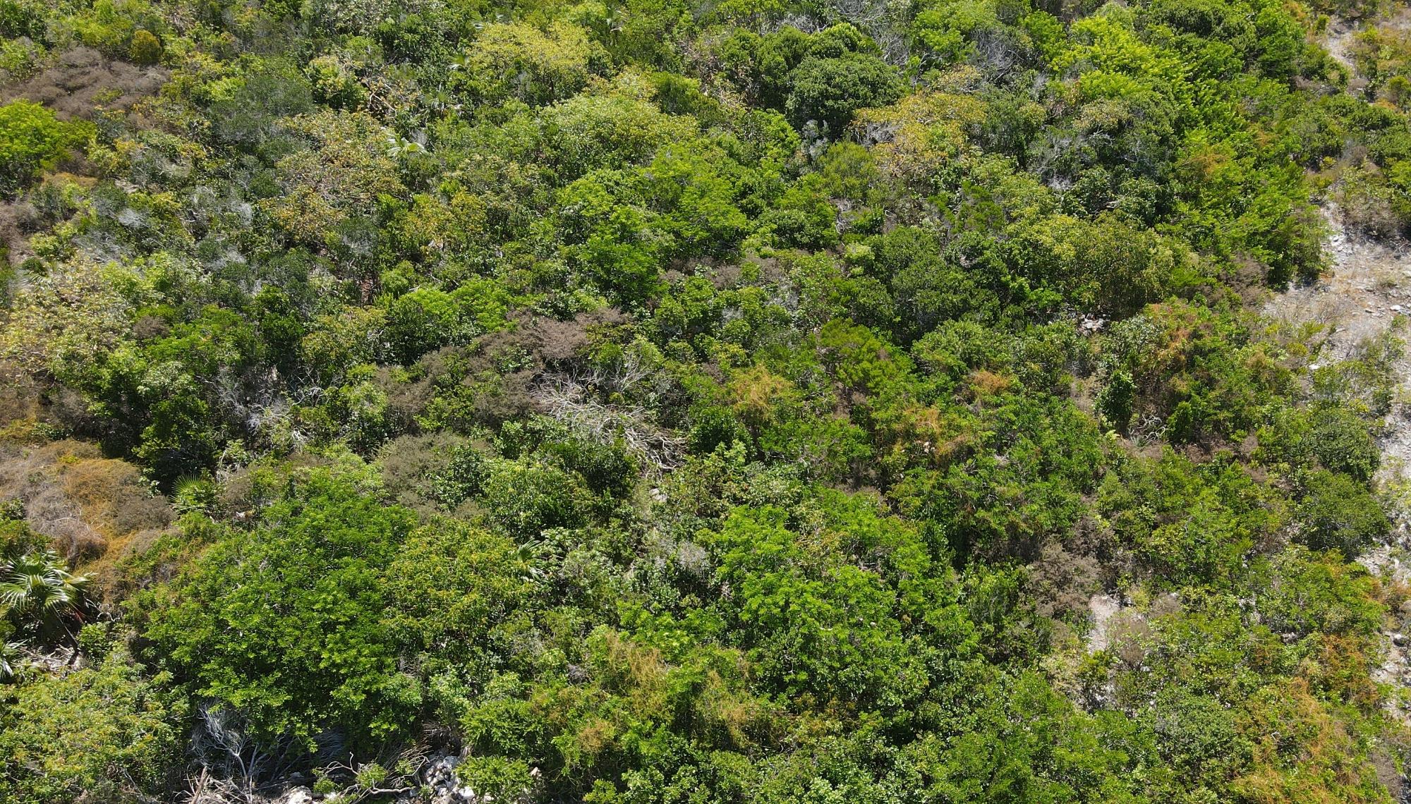 29.5 ACRES SUNRIDGE ESTAT