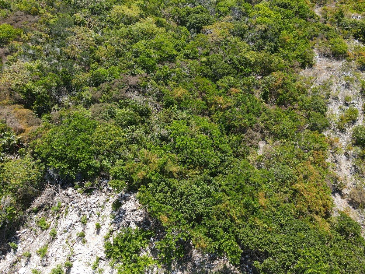 29.5 ACRES SUNRIDGE ESTAT