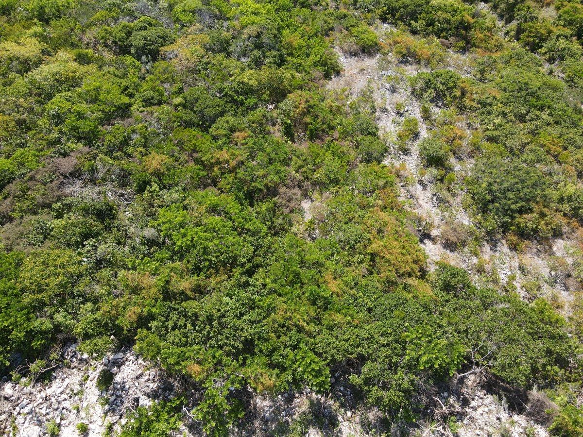 29.5 ACRES SUNRIDGE ESTAT