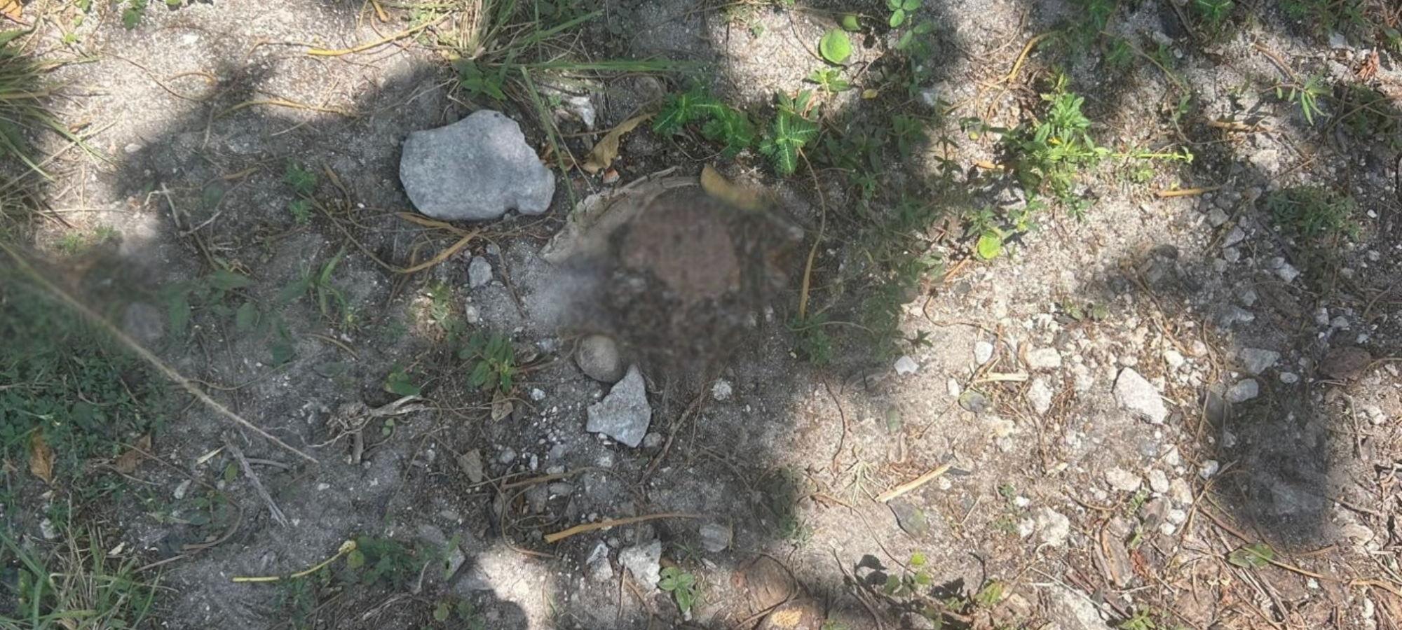 LOT OFF PRINCE CHARLES DR