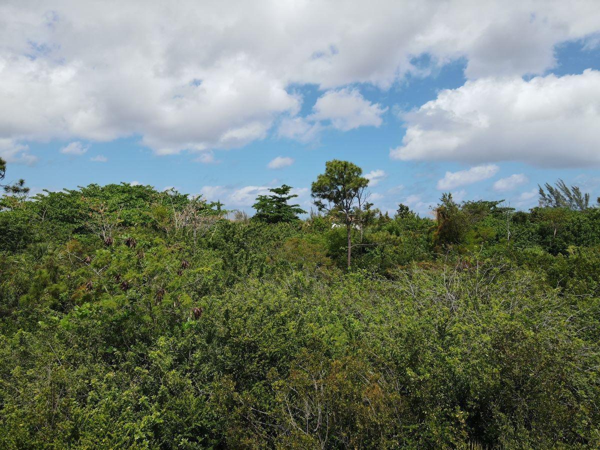 LOT 2, SAN SALVADOR