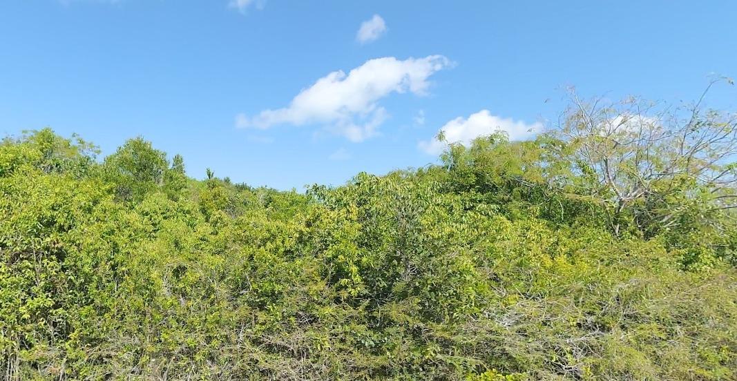 LOT 2, SAN SALVADOR