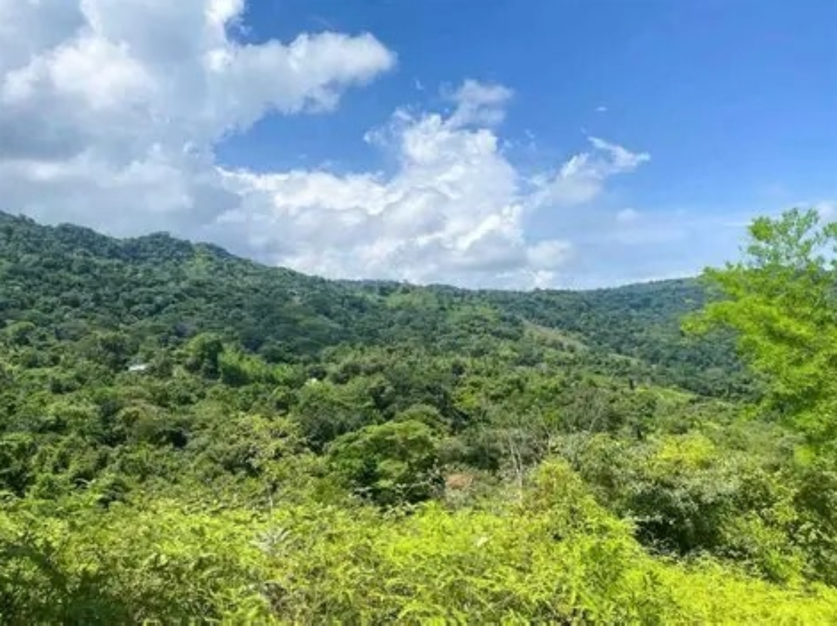 LOT 2, SAN SALVADOR
