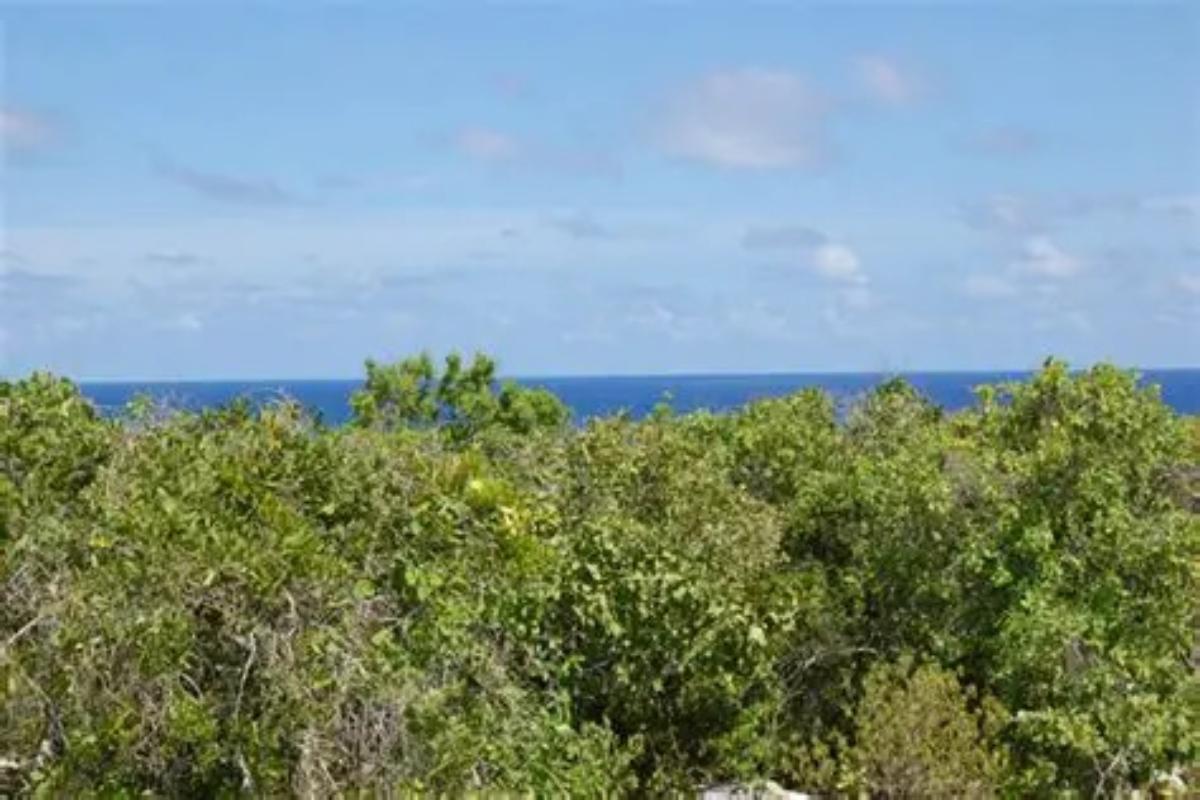 LOT 2, SAN SALVADOR